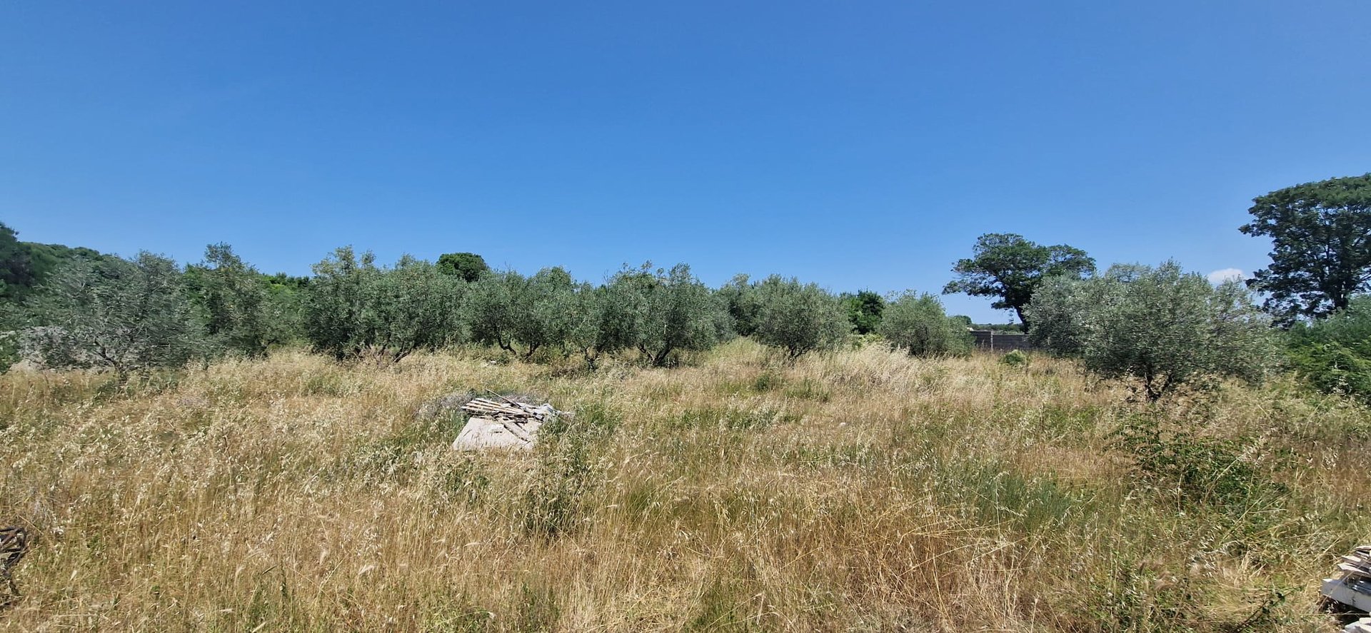 Parcela Naprodaj - Zadarska Briševo