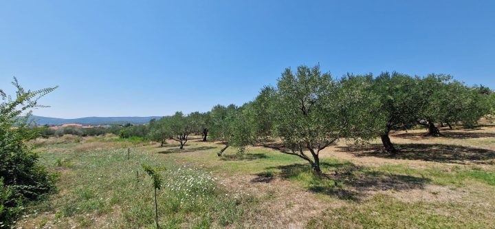 Zemljište na prodaju 490 m² – Sveti Filip I Jakov