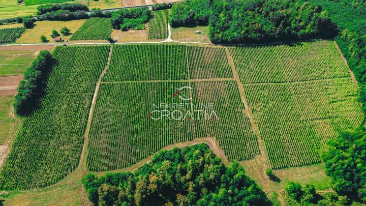 Pozemok na predaj 105333 m² – Carevdar