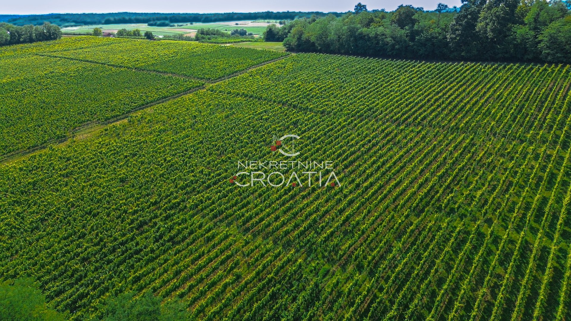 Pozemok Na predaj - Koprivničko-križevačka Carevdar