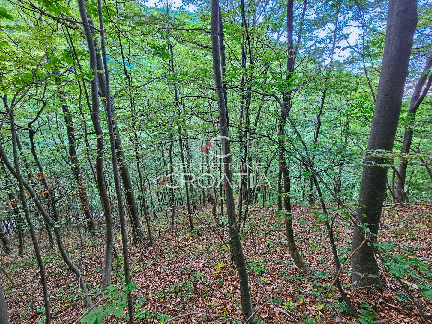 Parcela Na predaj - Varaždinska Prigorec