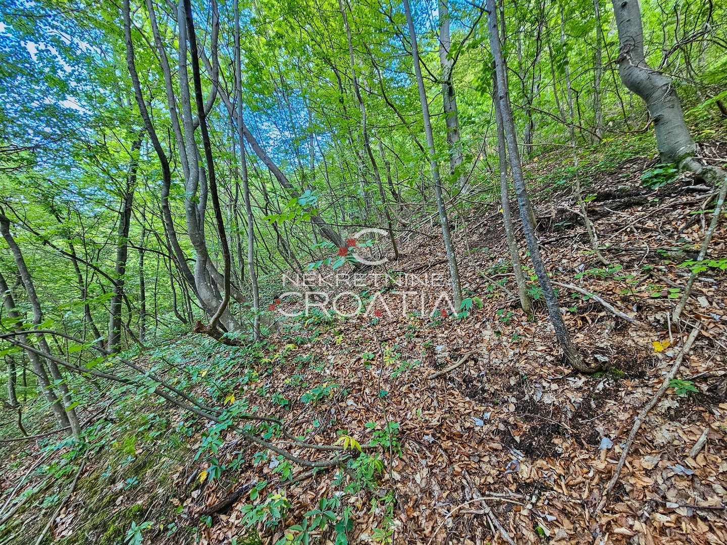 Parcela Na predaj - Varaždinska Prigorec