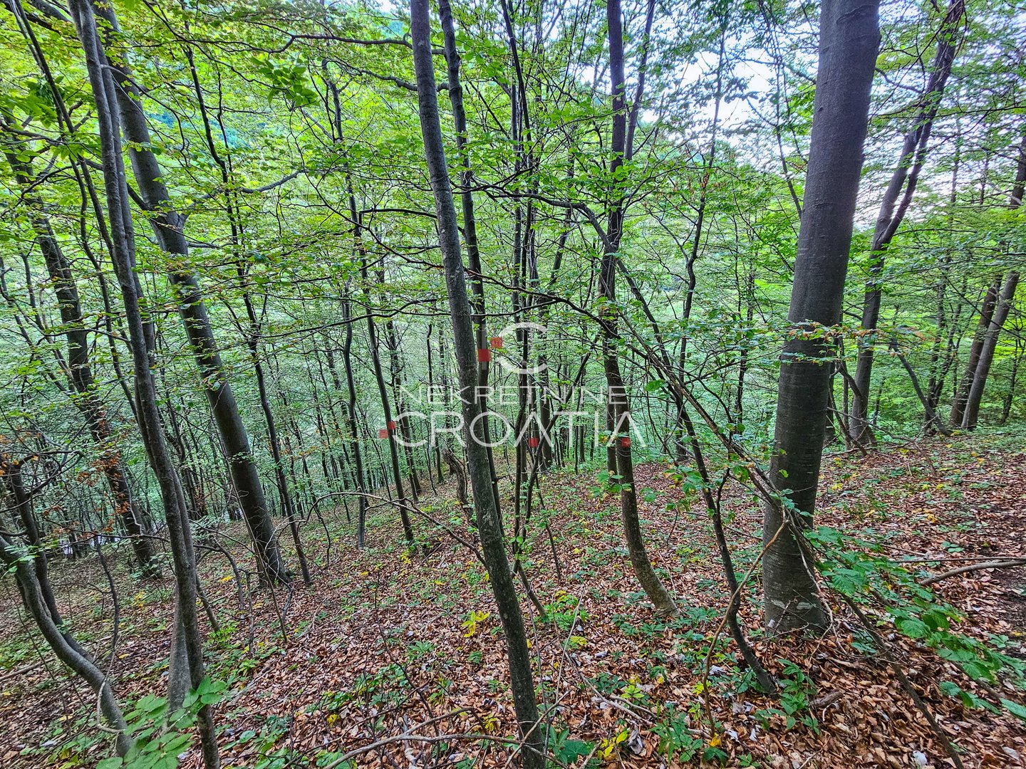 Parcela Na predaj - Varaždinska Prigorec