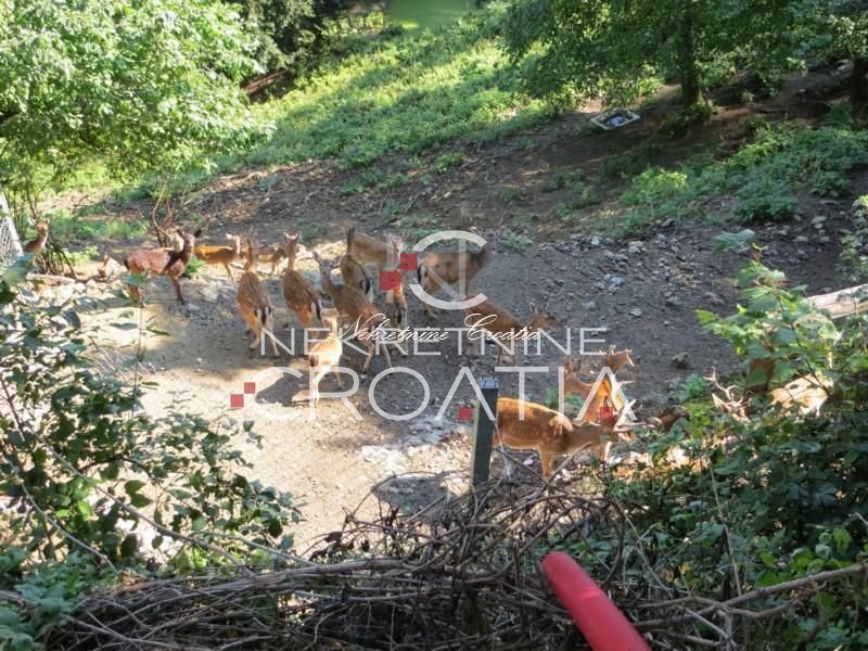 Komerčné Na predaj - Varaždinska Gornja Voća