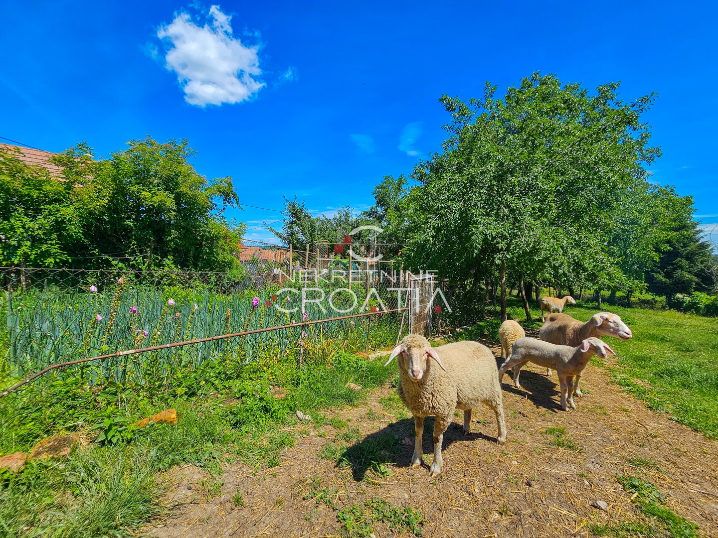 Dom Na predaj - Varaždinska Donje Ladanje