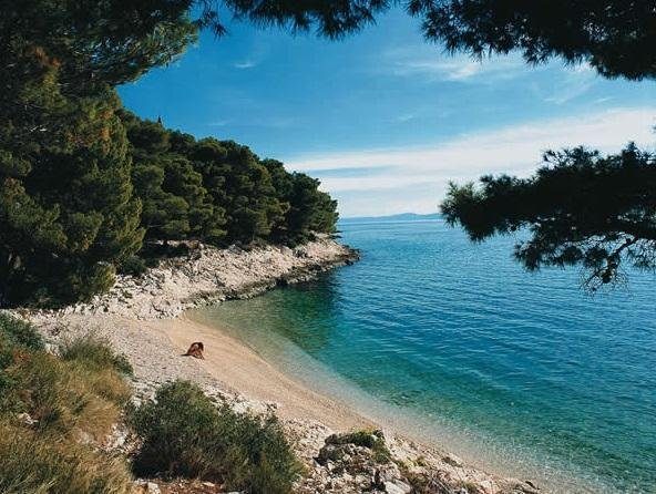 Hotel À vendre - Splitsko-dalmatinska Podgora - foto 4/12