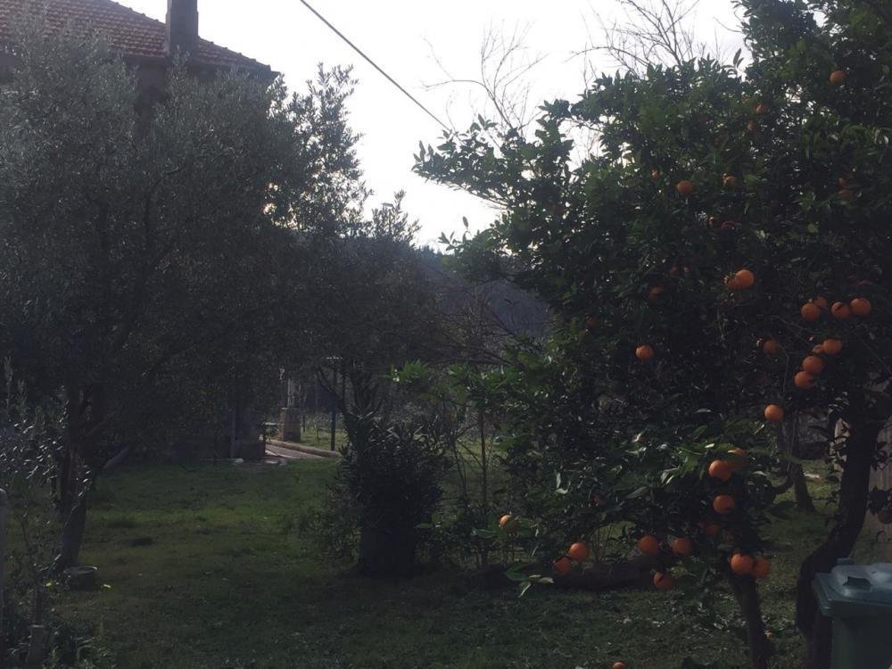 Dům Na prodej - Dubrovačko-neretvanska Dubrovnik - Okolica