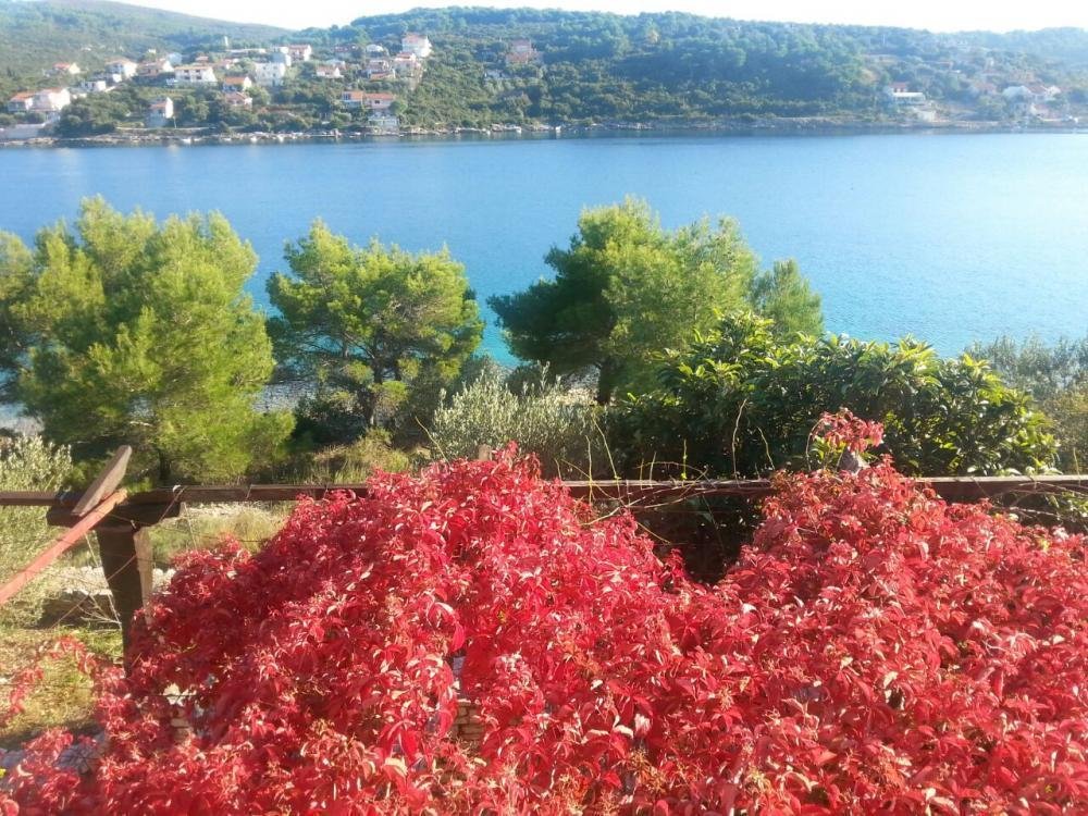 Maison À vendre - Splitsko-dalmatinska šolta - foto 1/8