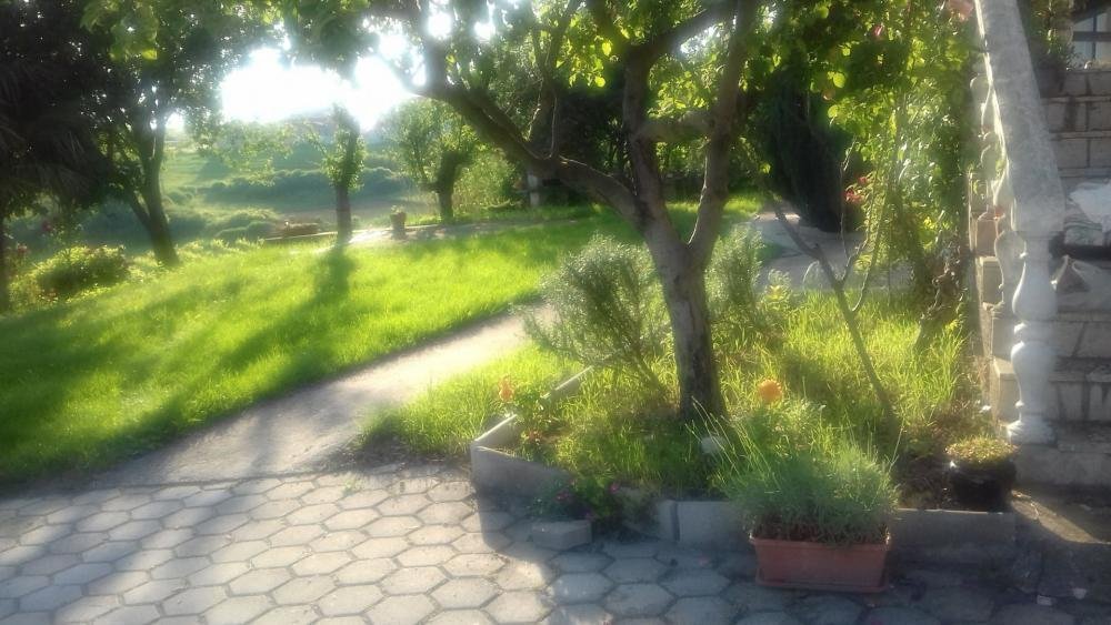 Hotel For sale - Istarska Vižinada