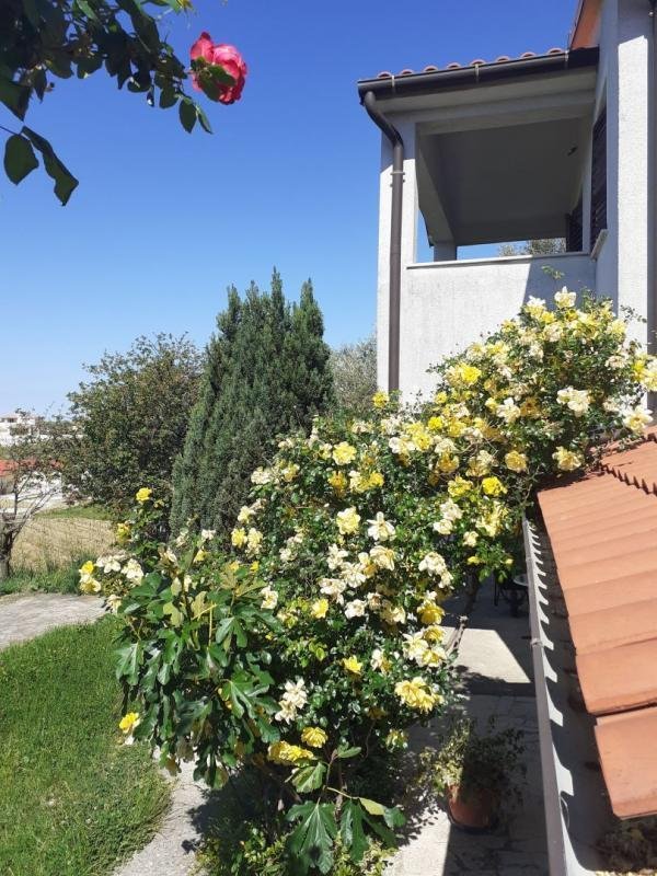 Hotel For sale - Istarska Vižinada