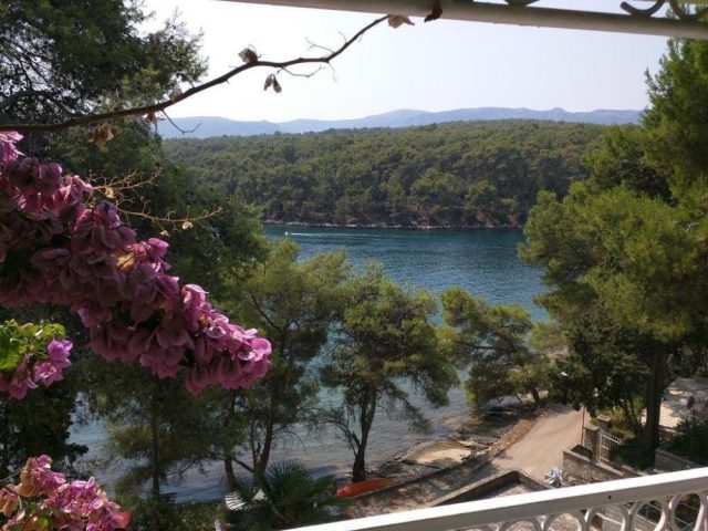Hotel Zu verkaufen - Splitsko-dalmatinska Jelsa - foto 3/14