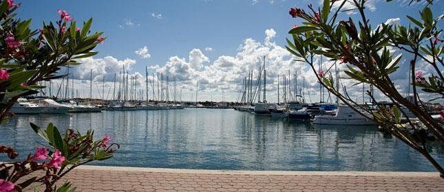 House For sale - Istarska Umag - foto 2/24