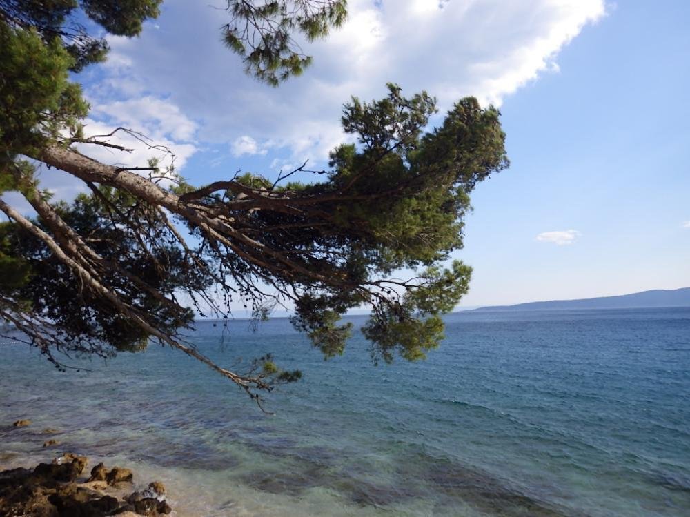 Hotel Na prodaju - Splitsko-dalmatinska Baška Voda