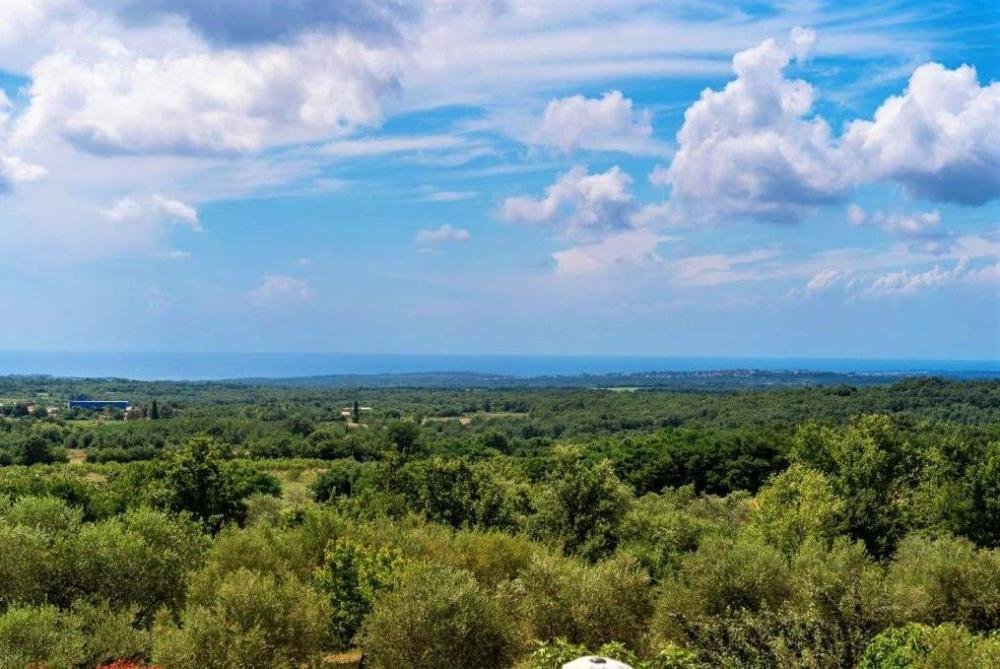Dom Na sprzedaż - Istarska Višnjan