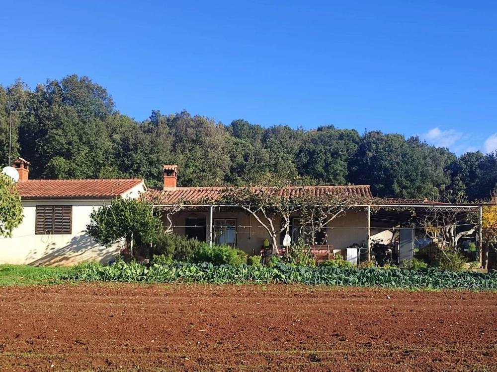 Haus Zu verkaufen - Istarska Rovinj