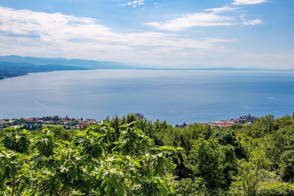 Haus Zu verkaufen - Primorsko-goranska Matulji