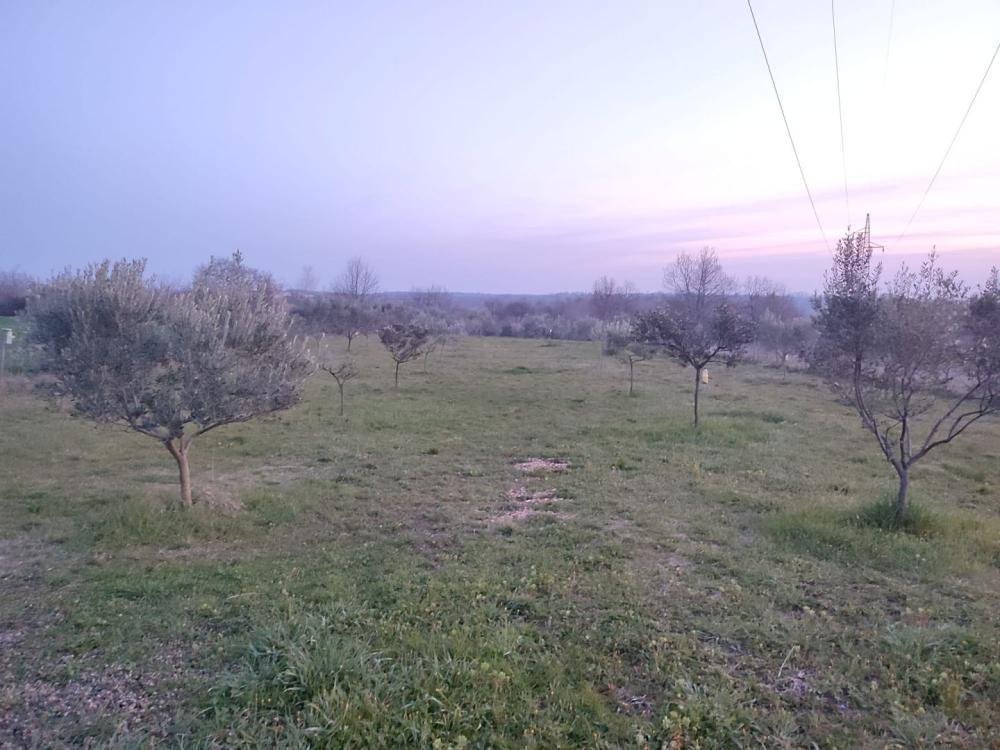 Dom Na predaj - Istarska Brtonigla