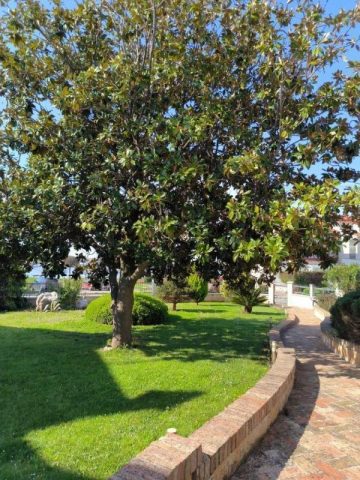 House For sale - Istarska Umag - foto 4/24
