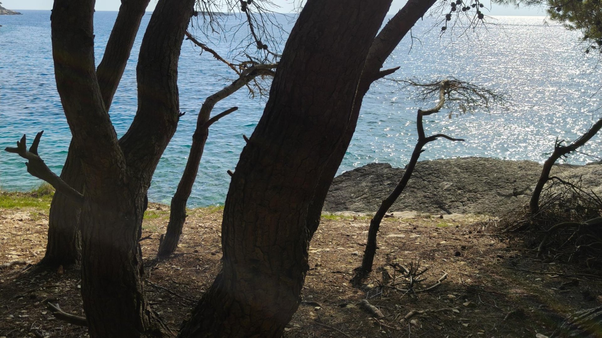 Kuća Na prodaju - Splitsko-dalmatinska Brač