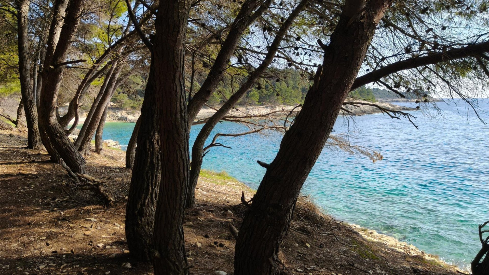 Hiša Naprodaj - Splitsko-dalmatinska Brač
