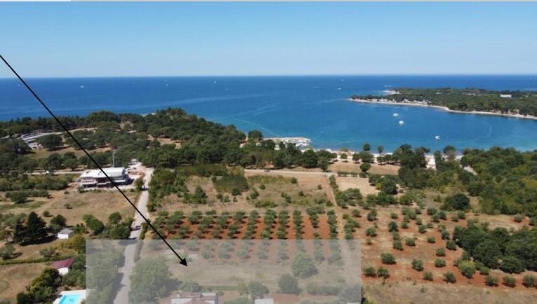Maison À vendre - Istarska Poreč - foto 1/24