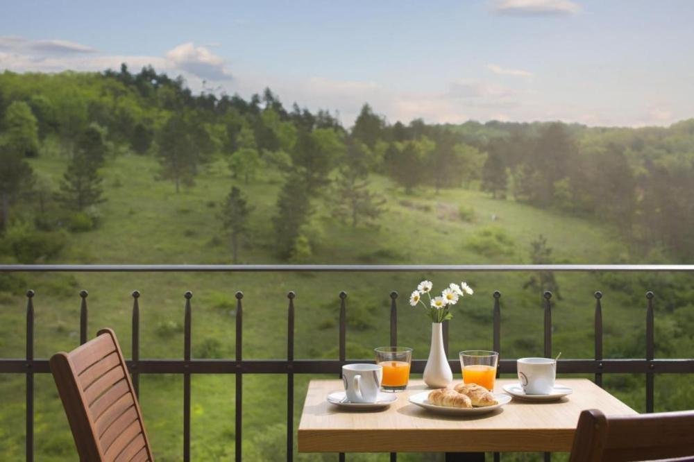 Hotel For sale - Istarska Motovun