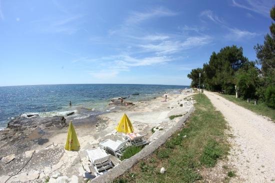 Dom Na sprzedaż - Istarska Umag