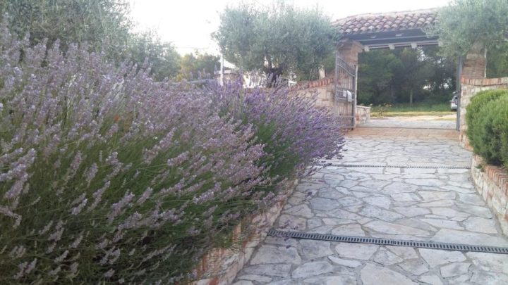 Hotel Na sprzedaż - Istarska Umag - foto 4/24