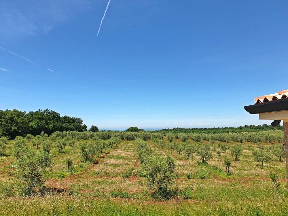 House For sale -  Novigrad