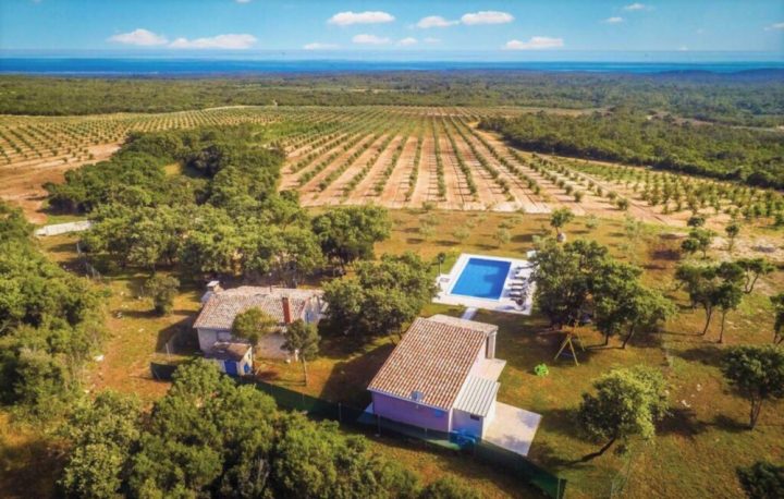 Maison À vendre - Istarska Rovinj - foto 2/24
