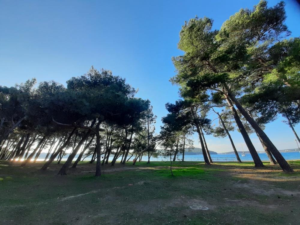 Hotel For sale - Istarska Medulin