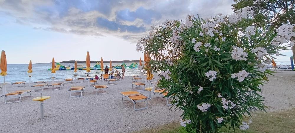 Hotel À vendre - Istarska Fažana