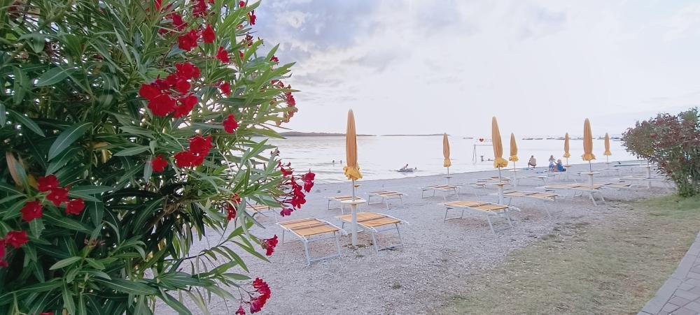 Hotel À vendre - Istarska Fažana