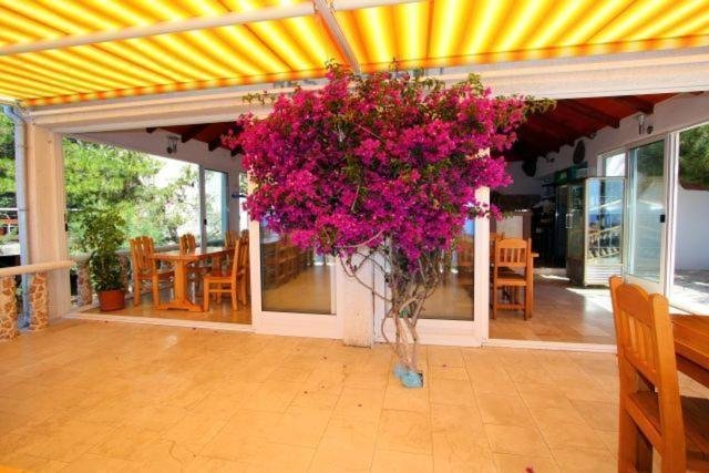 Hotel Zu verkaufen - Splitsko-dalmatinska Hvar