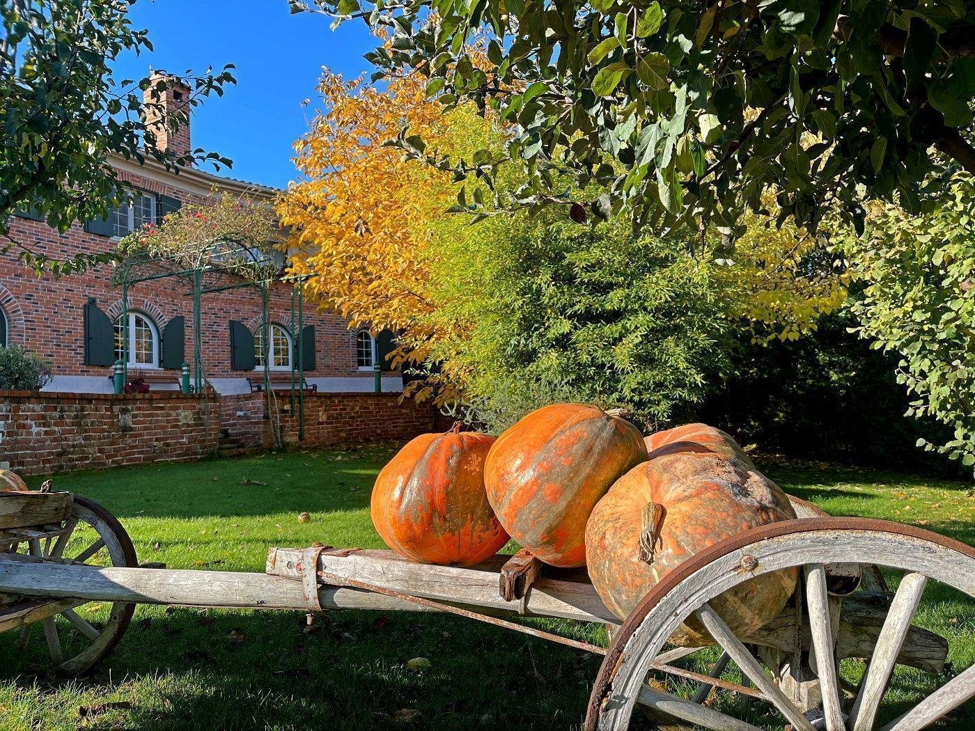 Kuća Na prodaju - Istarska Kanfanar