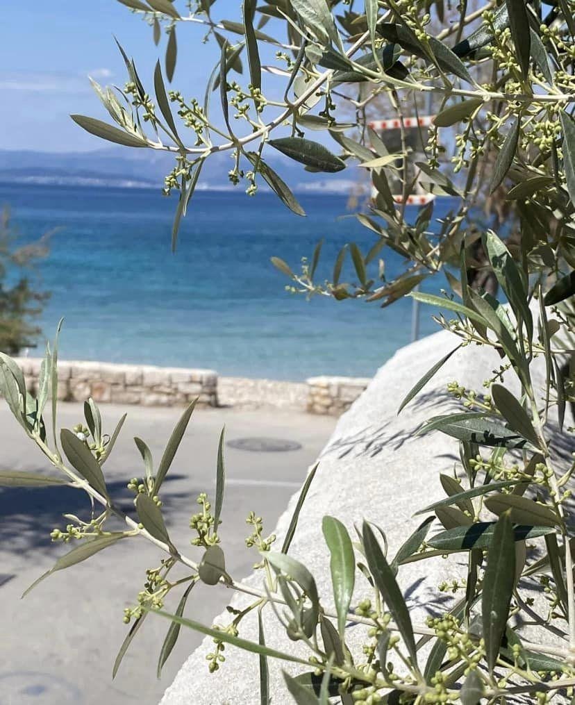 Kuća Na prodaju - Splitsko-dalmatinska Brač