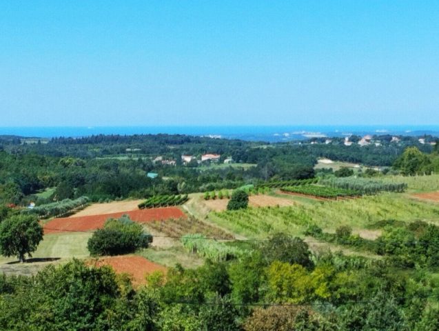 Haus Zu verkaufen - Istarska Vižinada - foto 4/15