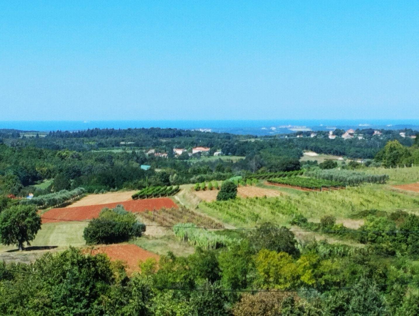 Haus Zu verkaufen - Istarska Vižinada