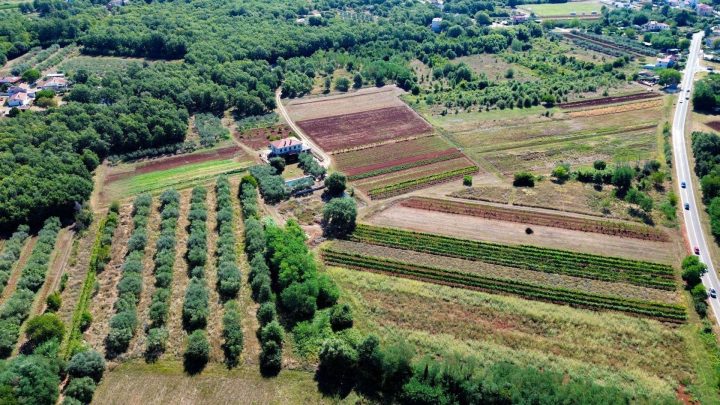 Kuća na prodaju 360 m² – Umag