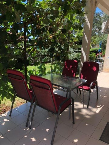 Hotel Na predaj - Novigrad - foto 5/20