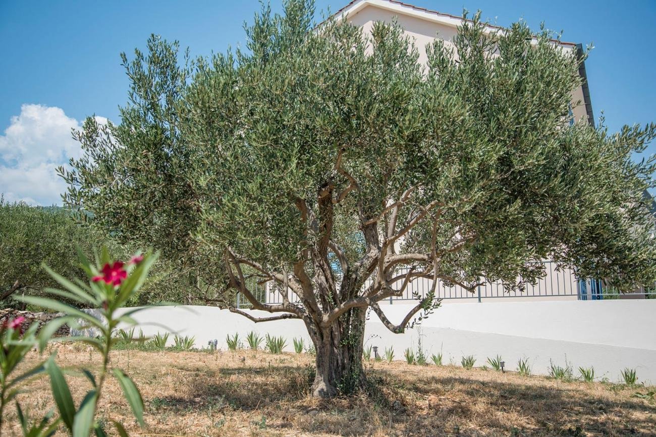 Casa In vendita - Splitsko-dalmatinska Split