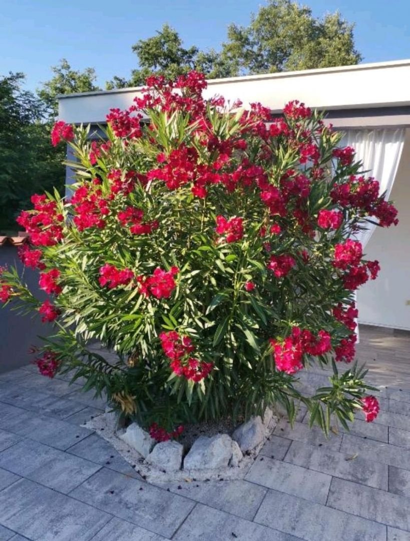 Maison À vendre - Istarska Kršan