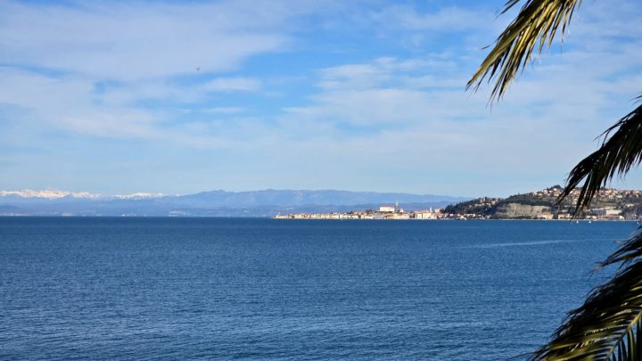 House For sale - Istarska Umag - foto 4/21