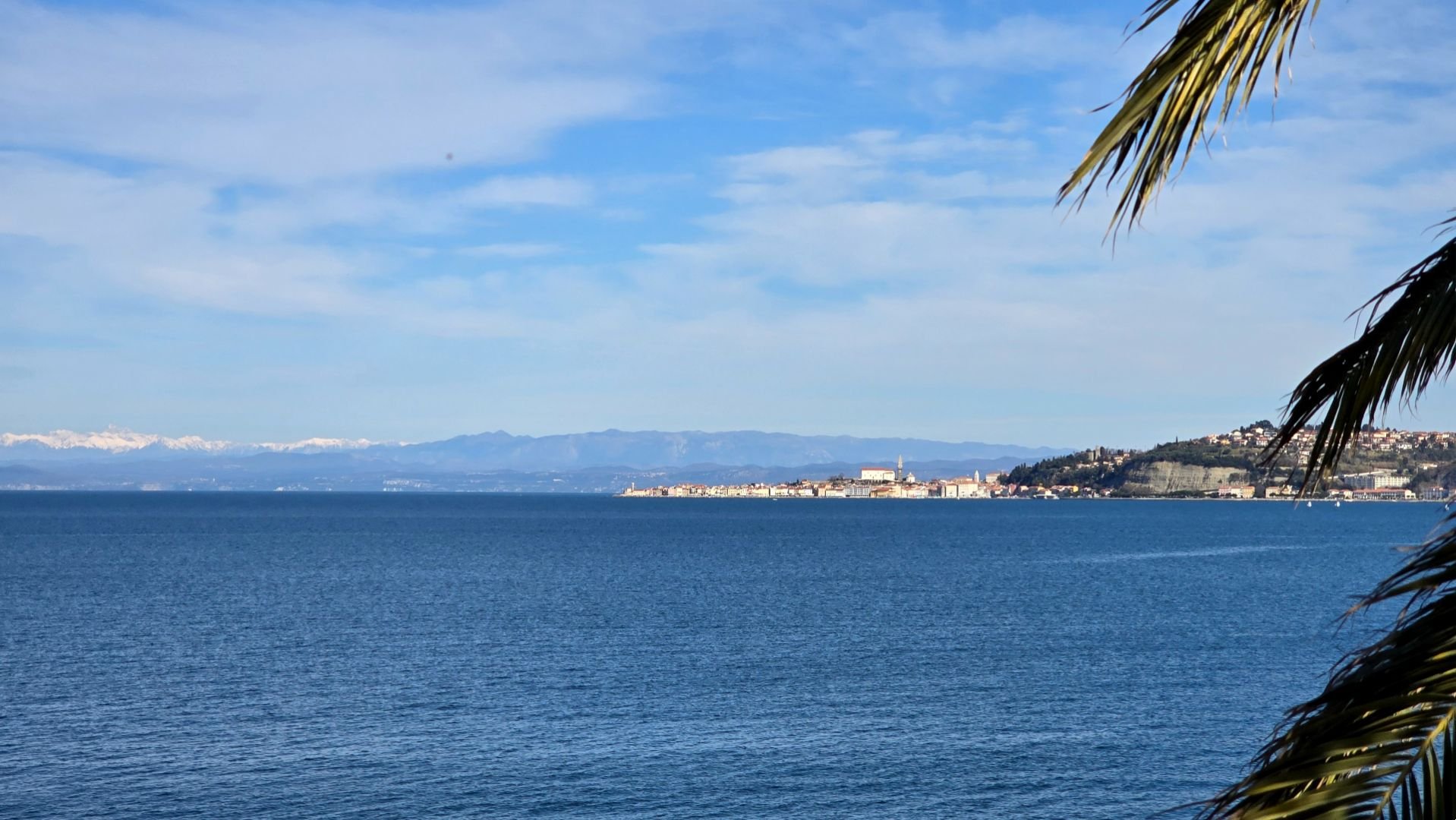 House For sale - Istarska Umag
