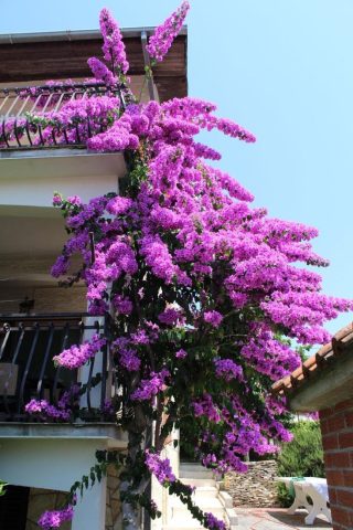 Hotel Zu verkaufen - Splitsko-dalmatinska Trogir - foto 4/12
