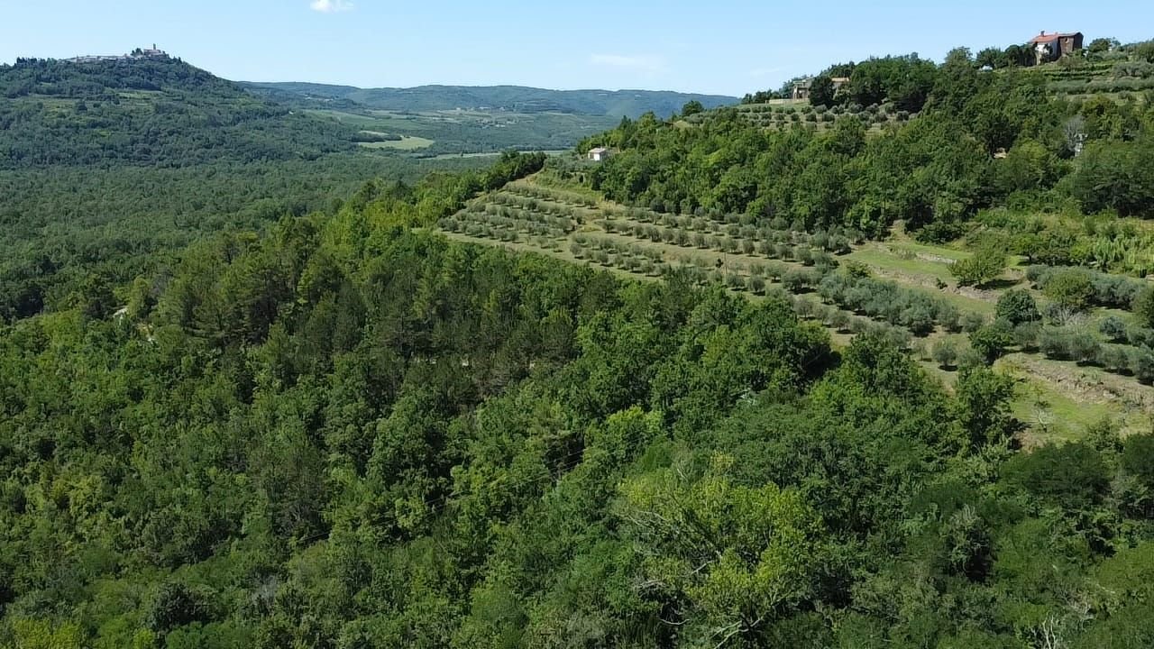 Kuća Na prodaju - Istarska Motovun