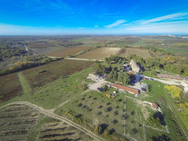 Casa In vendita - Istarska Buje - foto 4/24