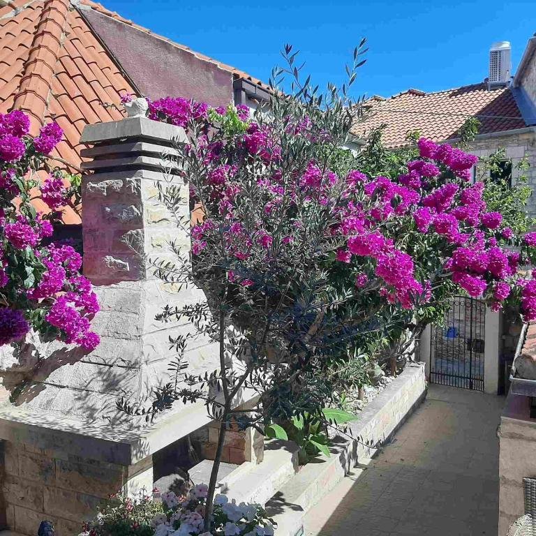 Hotel Zu verkaufen - Splitsko-dalmatinska Supetar