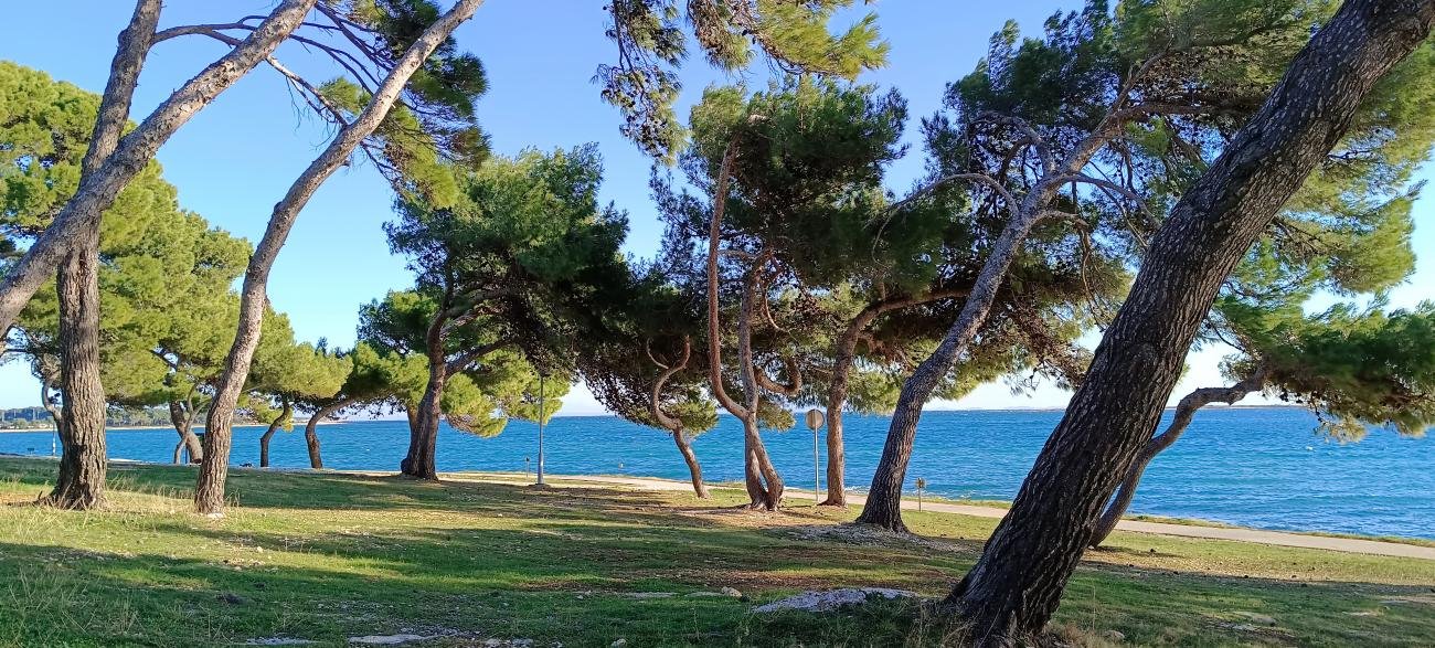 Kuća Na prodaju - Istarska Pula
