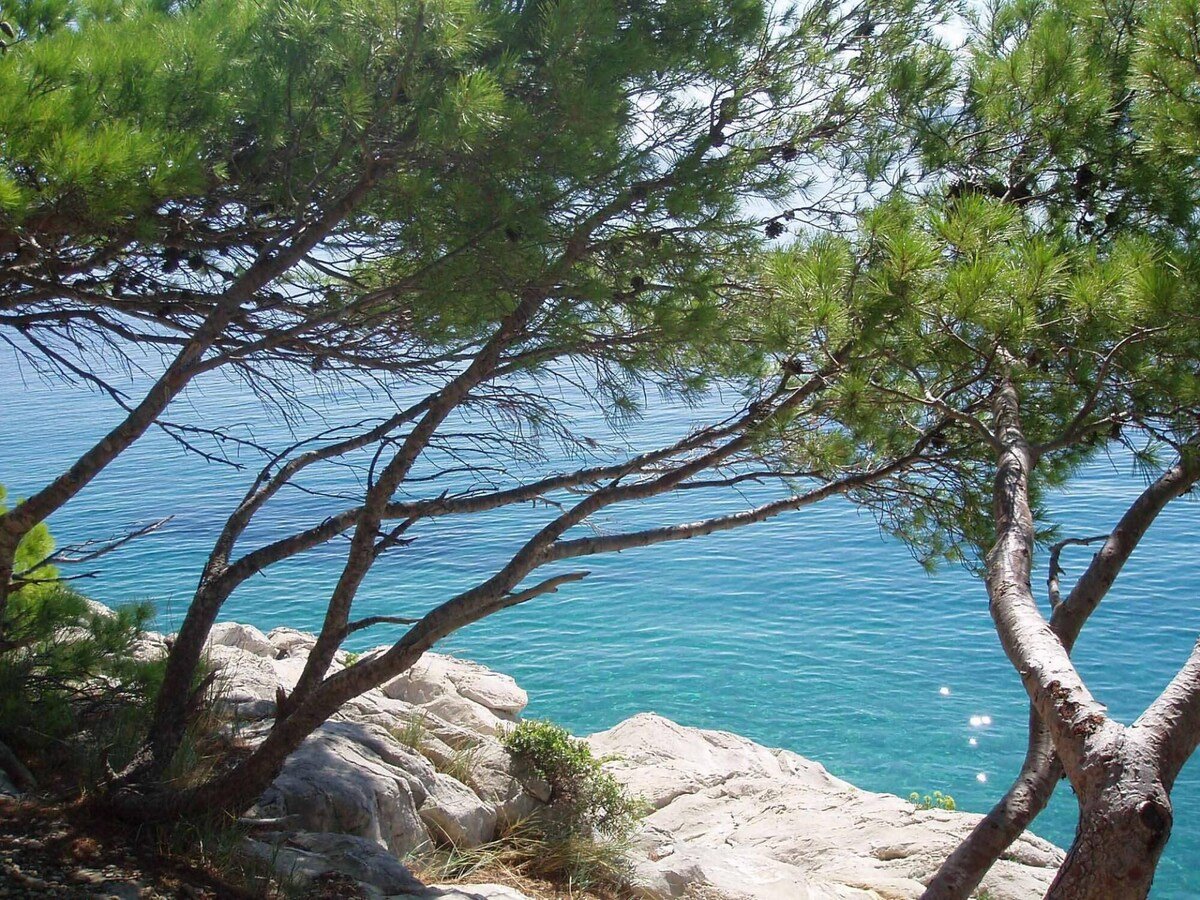 Hotel Na predaj - Splitsko-dalmatinska Omiš